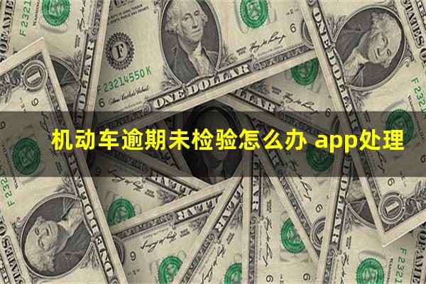 机动车逾期未检验怎么办 app处理